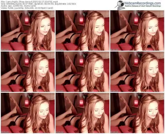 cams-amia-public-show-02_17_2015-01_47_01