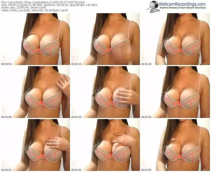 cams-cuteandsexy-public-show-02_17_2015-02_27_18