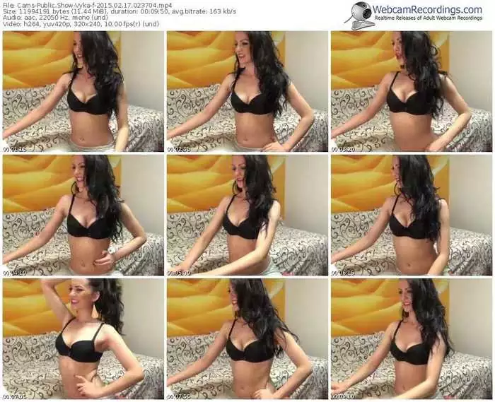 cams-vyka-public-show-02_17_2015-02_37_04