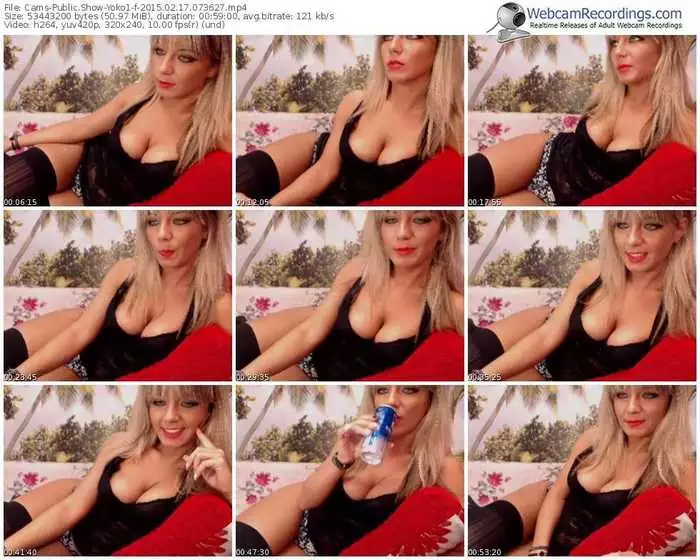 cams-yoko1-public-show-02_17_2015-07_36_27