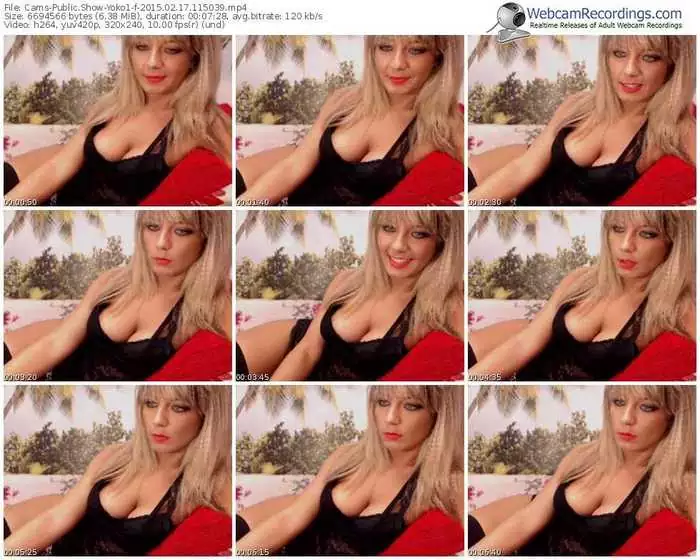 cams-yoko1-public-show-02_17_2015-11_50_39