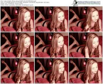 cams-amia-public-show-02_18_2015-05_52_06