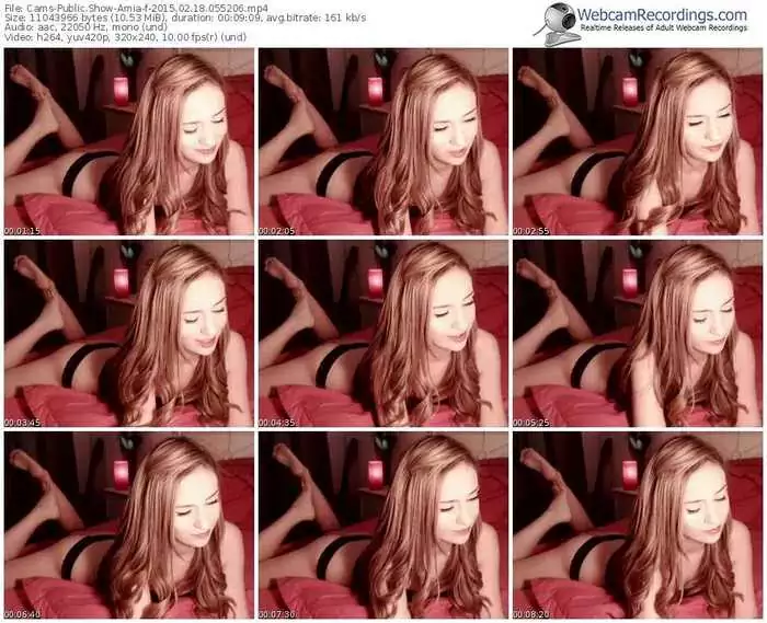 cams-amia-public-show-02_18_2015-05_52_06