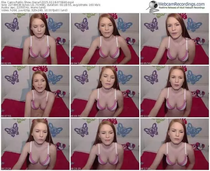 cams-siera-public-show-02_18_2015-07_08_40