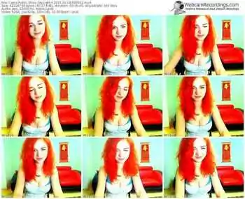 cams-skylight-public-show-02_18_2015-09_35_52