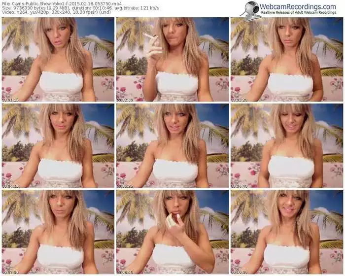 cams-yoko1-public-show-02_18_2015-05_37_50