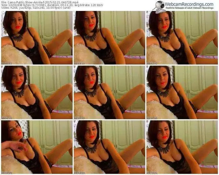 cams-amida-public-show-02_21_2015-04_07_28