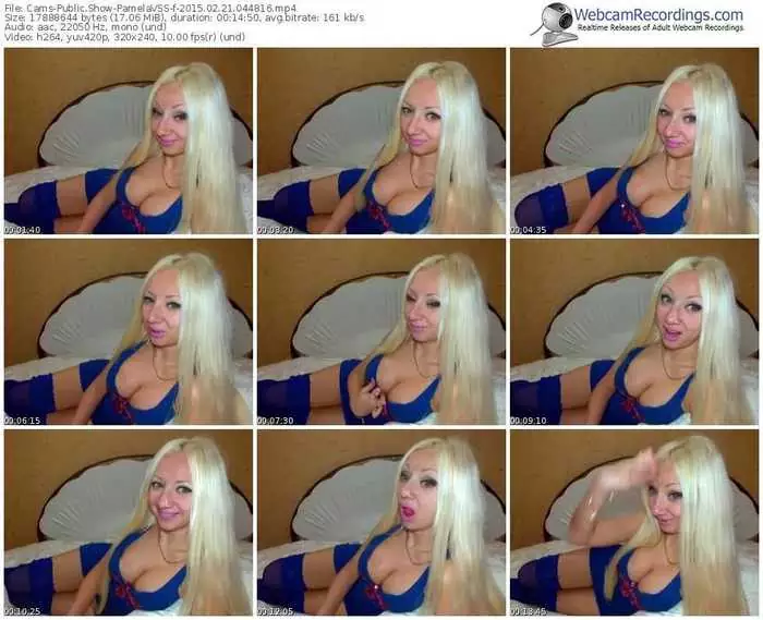 cams-pamelavss-public-show-02_21_2015-04_48_16