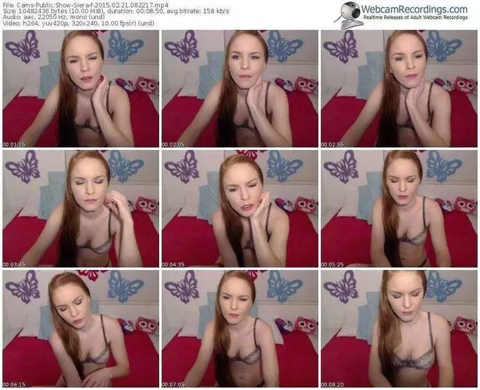 cams-siera-public-show-02_21_2015-08_22_17