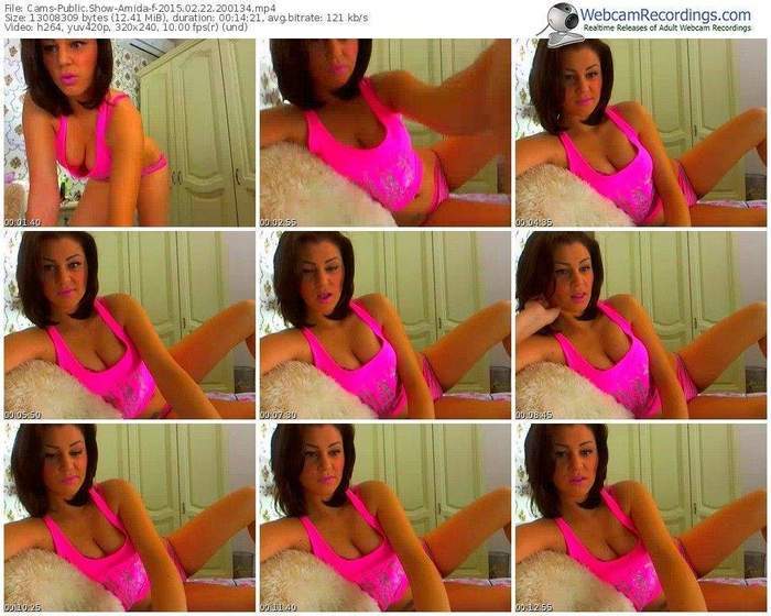 cams-amida-public-show-02_22_2015-20_01_34