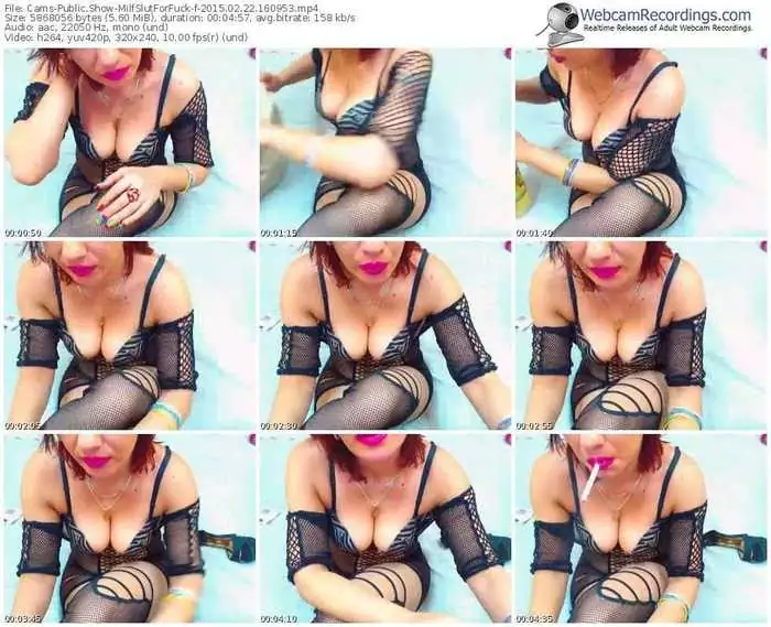 cams-milfslutforfuck-public-show-02_22_2015-16_09_53