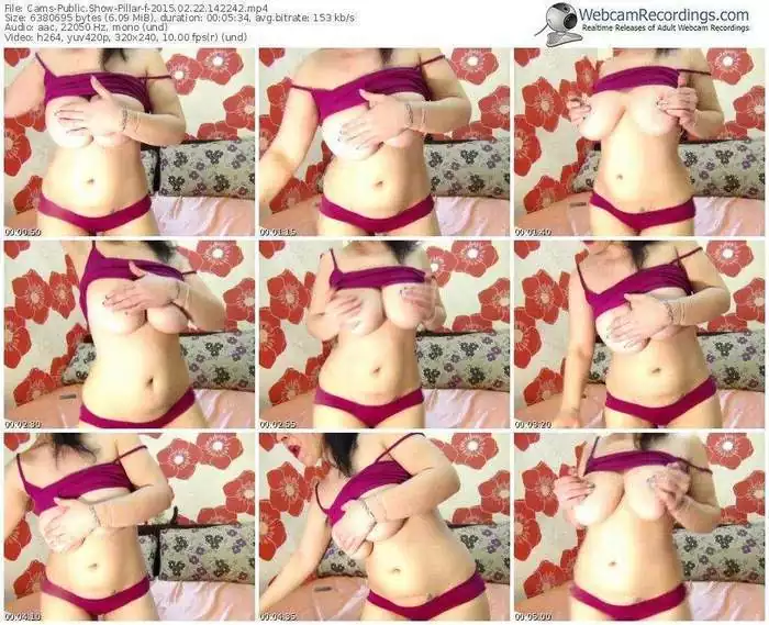 cams-pillar-public-show-02_22_2015-14_22_42