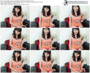 cams-skylight-public-show-02_22_2015-04_34_13