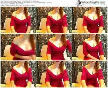 cams-skymia-public-show-02_22_2015-01_01_23