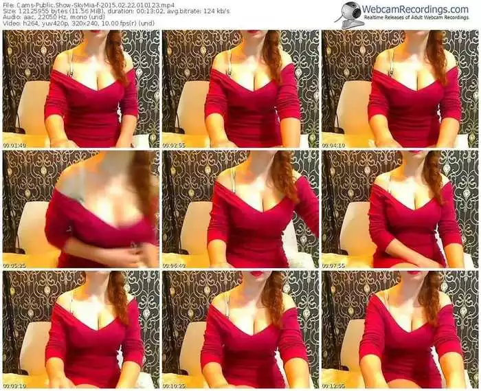 cams-skymia-public-show-02_22_2015-01_01_23