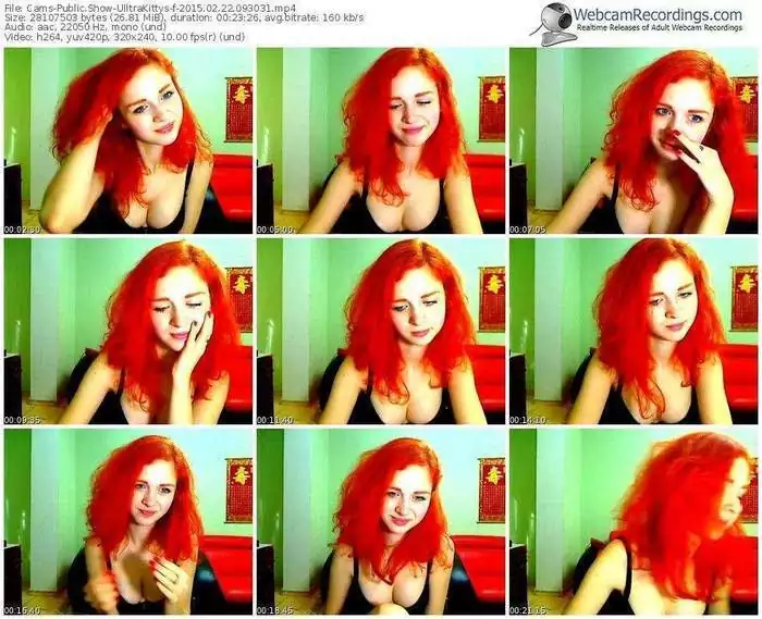 cams-ulltrakittys-public-show-02_22_2015-09_30_31