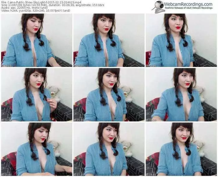 cams-skylight-public-show-02_23_2015-01_46_23