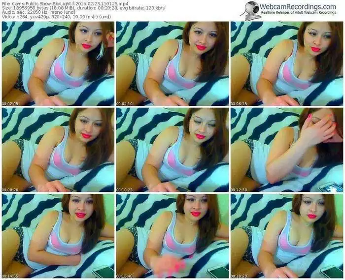 cams-skylight-public-show-02_23_2015-11_01_25