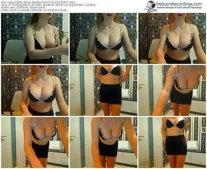 cams-skymia-public-show-02_23_2015-16_54_57