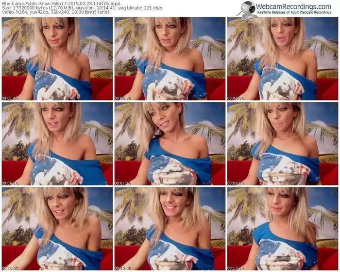 cams-yoko1-public-show-02_23_2015-11_41_05