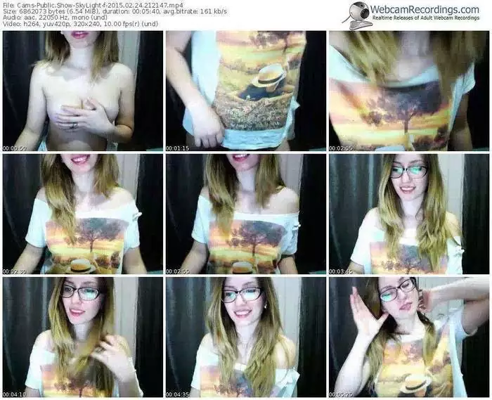 cams-skylight-public-show-02_24_2015-21_21_47