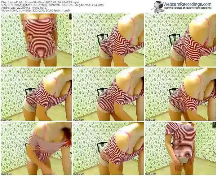 cams-skymia-public-show-02_24_2015-16_48_53