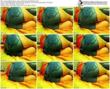 cams-abey-public-show-02_25_2015-08_41_52