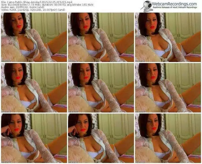 cams-amida-public-show-02_25_2015-01_52_23