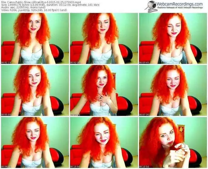 cams-ulltrakittys-public-show-02_25_2015-07_39_03