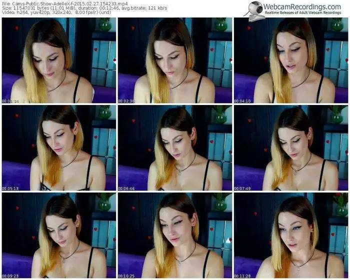 cams-adellex-public-show-02_27_2015-15_42_33