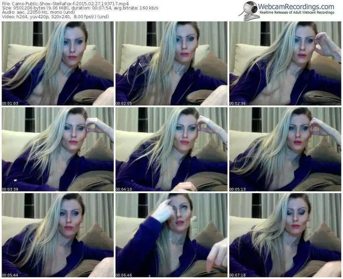 cams-stellafox-public-show-02_27_2015-19_37_17