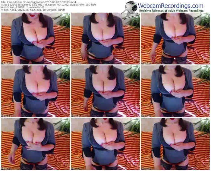 cams-bigglasses-public-show-06_07_2015-16_06_33