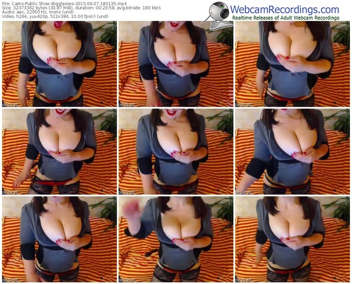 cams-bigglasses-public-show-06_07_2015-18_01_35