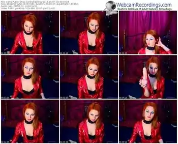 cams-controllabletoy-public-show-06_07_2015-17_16_34