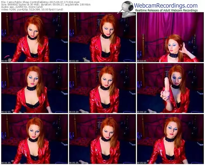 cams-controllabletoy-public-show-06_07_2015-17_16_34