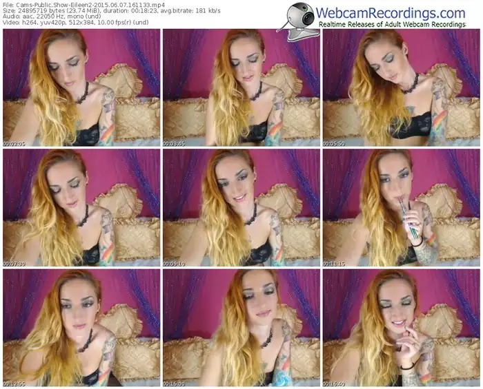 cams-eileen2-public-show-06_07_2015-16_11_33