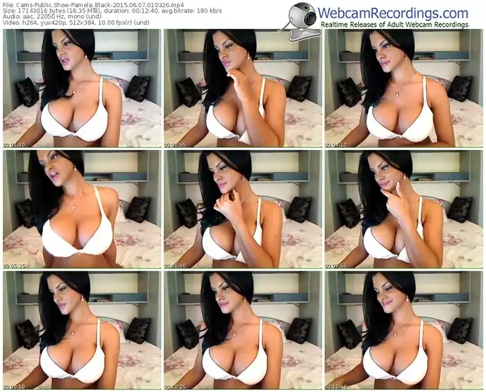 cams-pamela_black-public-show-06_07_2015-01_03_26