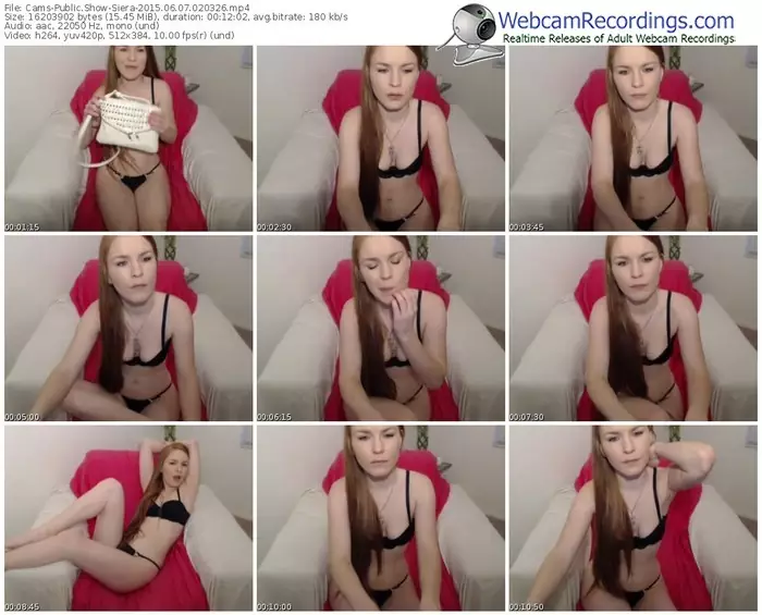 cams-siera-public-show-06_07_2015-02_03_26