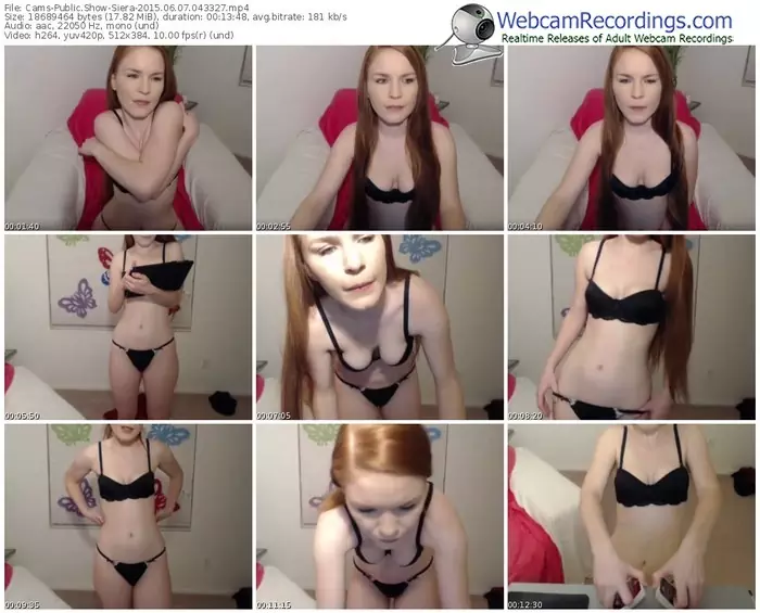 cams-siera-public-show-06_07_2015-04_33_27