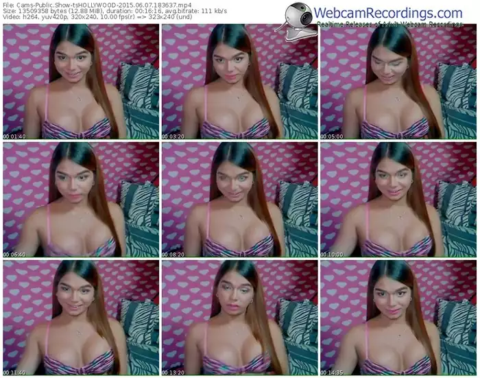 cams-tshollywood-public-show-06_07_2015-18_36_37