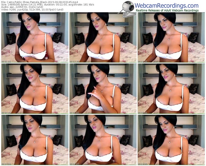 cams-pamela_black-public-show-06_08_2015-00_31_45