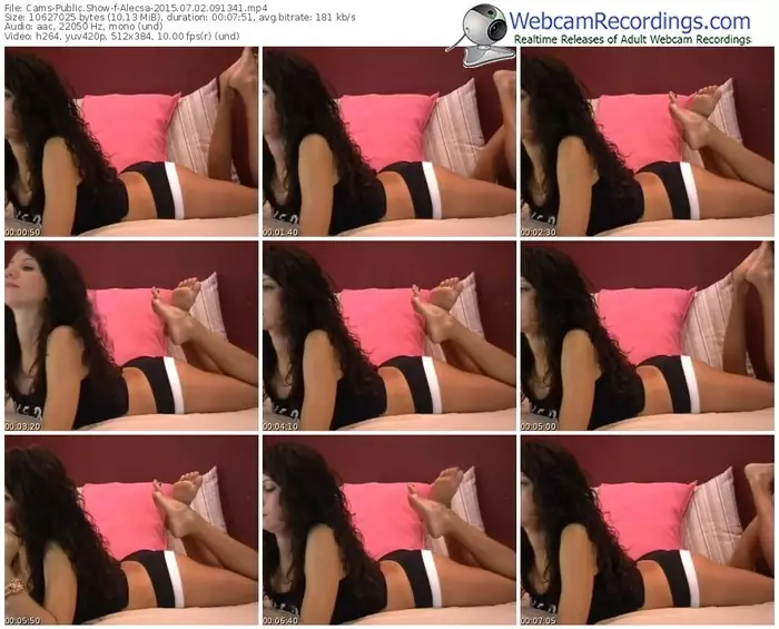 cams-alecsa-public-show-07_02_2015-09_13_41