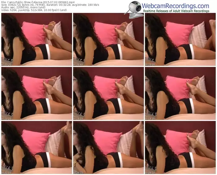 cams-alecsa-public-show-07_02_2015-09_58_42