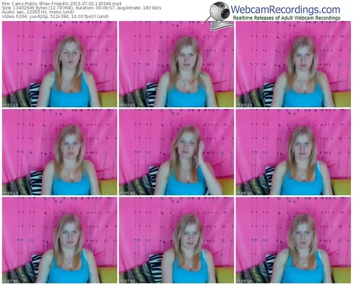 cams-haidig-public-show-07_02_2015-13_03_44