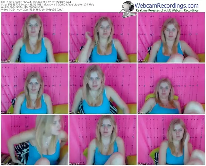 cams-haidig-public-show-07_02_2015-15_58_47