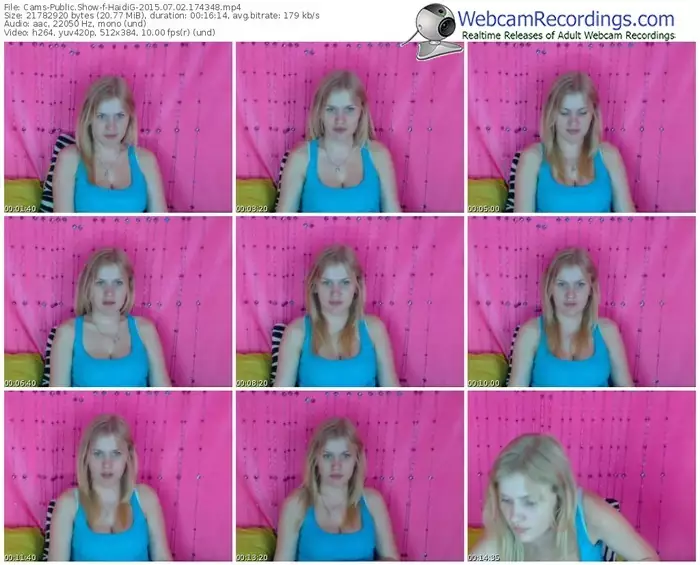 cams-haidig-public-show-07_02_2015-17_43_48