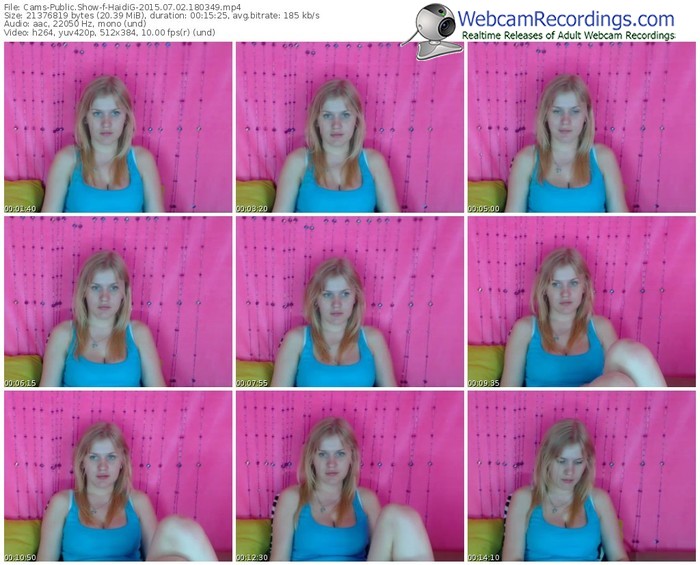 cams-haidig-public-show-07_02_2015-18_03_49