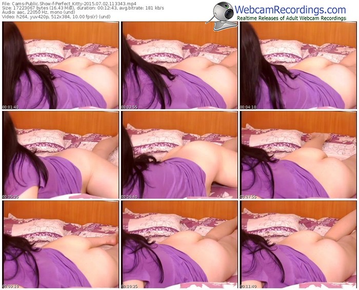 cams-perfect_kitty-public-show-07_02_2015-11_33_43