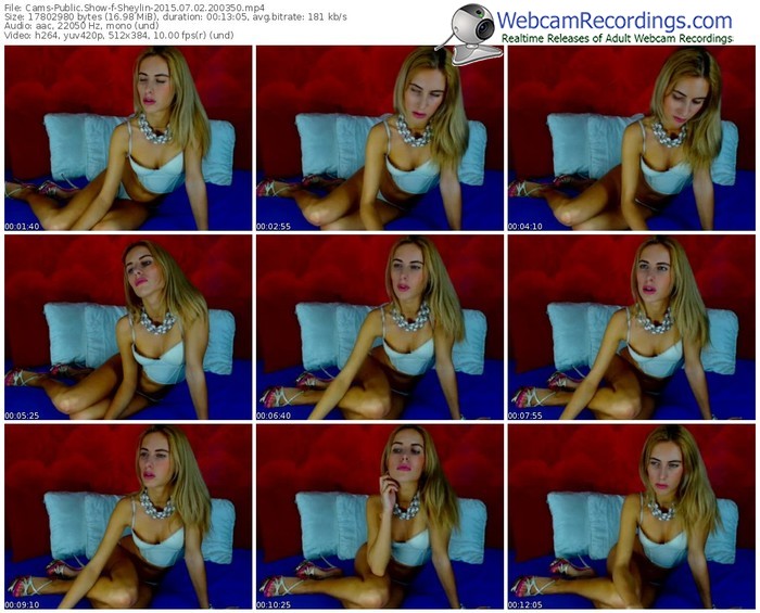 cams-sheylin-public-show-07_02_2015-20_03_50