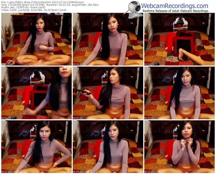 cams-shyschoolgirl-public-show-07_02_2015-19_08_49